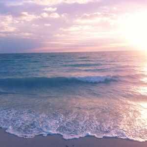 Meet your Posher, Nova